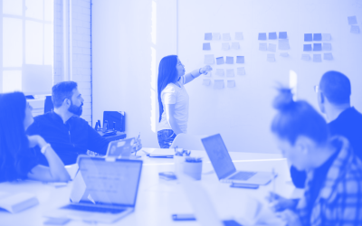 Academic Governance in TEQSA Applications