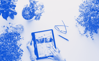 Writing a TEQSA Application